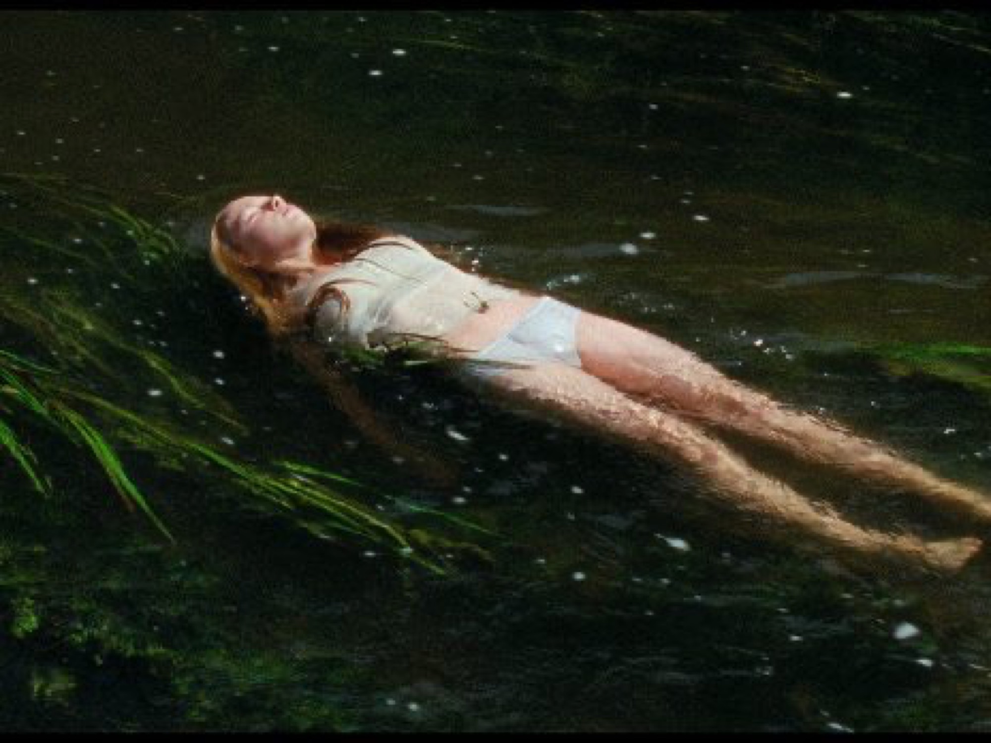 ZALESIE (Virgin Woods)